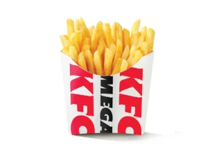 Mega Chips